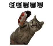 835734900