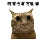 835734904
