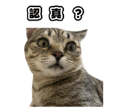 835734907