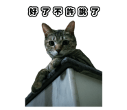 835734908