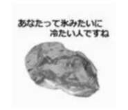 835737206