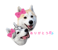 835737418