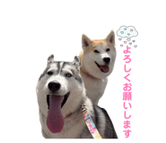 835737420