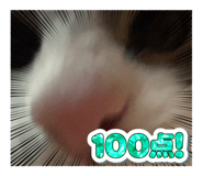 835739983