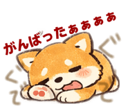 835740575