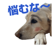 835740942