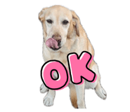 835740944