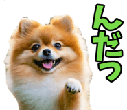 835742203