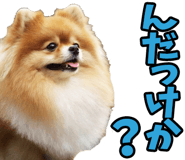 835742205