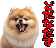 835742207