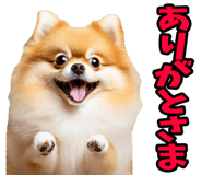 835742210