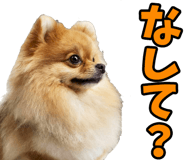 835742229