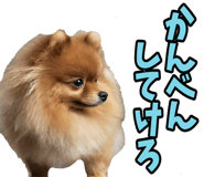 835742233