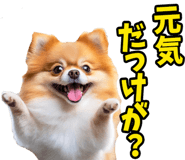835742236