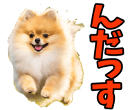 835742238