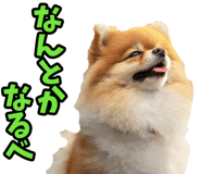 835742239