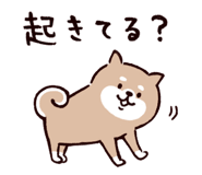 835742423
