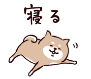 835742427