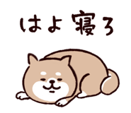 835742428