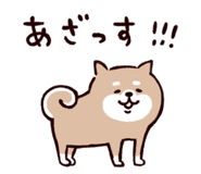 835742437