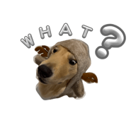 835742602