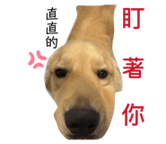 835742618