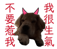 835742623
