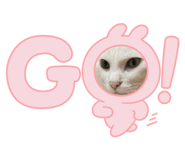 835777419