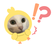 835777422