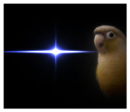 835777481