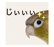 835777491