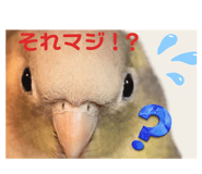 835777495