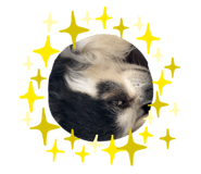 835777936