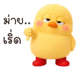 ลายที่ 13