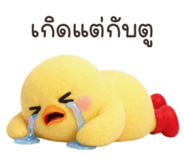 ลายที่ 17