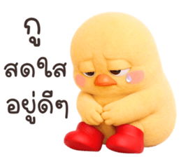 ลายที่ 41