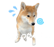 835780713