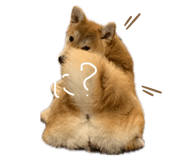 835780716