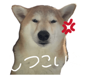 835780717