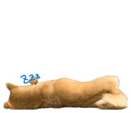 835780718