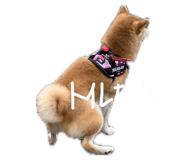 835780719