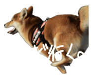 835780720