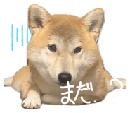 835780721