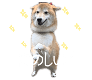835780724