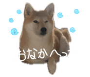 835780725