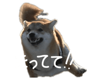 835780726