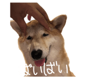 835780727