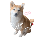 835780728