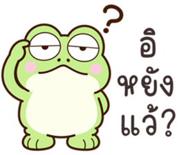 ลายที่ 29