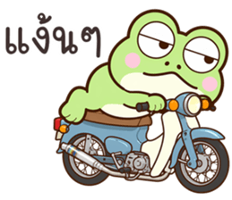 ลายที่ 31